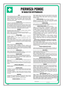 DD001 Pierwsza pomoc nagłe wypadki