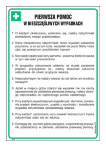 DD002 Pierwsza pomoc w wypadkach
