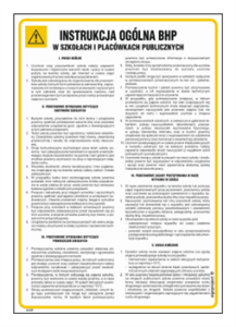 IAA09 Instrukcja BHP szkoły i placówki publiczne